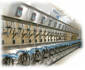 Cleanline palour