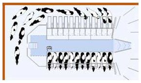 Parallel palour