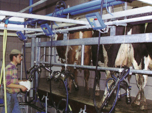 Sensomatic During cleaning