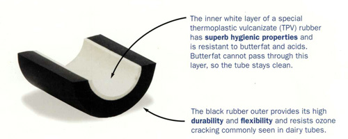 rubber