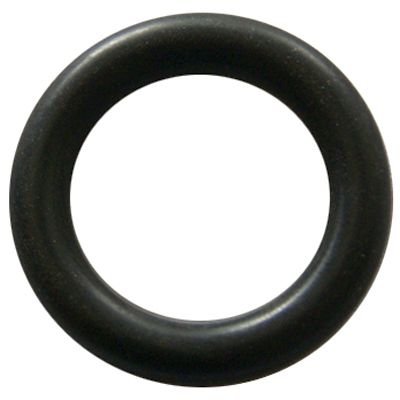 Milk Pump Alfa O'ring Graphite Ring