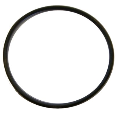 Rubber O-RING For Chamber FP66 Pump